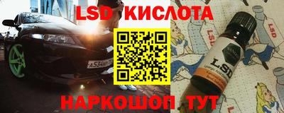 прущие грибы Кингисепп