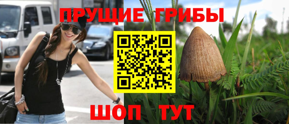Псилоцибиновые грибы MAGIC MUSHROOMS Зеленокумск